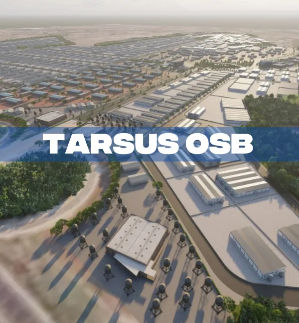 TARSUS OSB