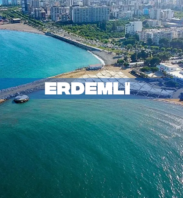 ERDEMLİ